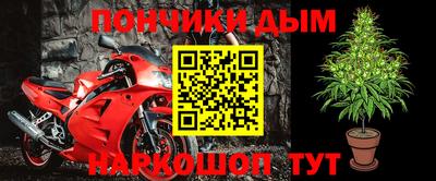 крисы Северобайкальск