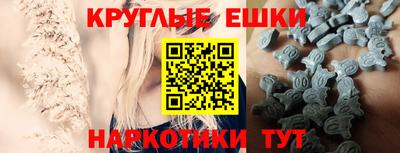 крисы Северобайкальск