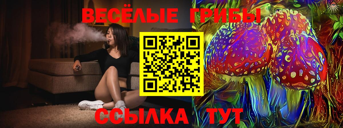Псилоцибиновые грибы ЛСД  Вход с VPN  сколько стоит  Павловский Посад  Псилоцибиновые грибы ЛСД 