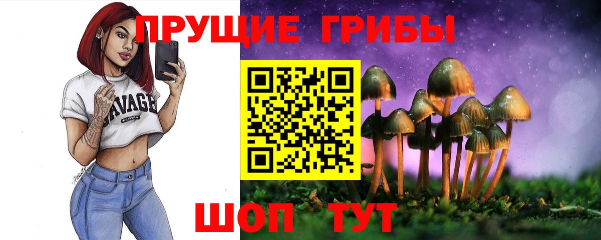 Галлюциногенные грибы Cubensis Павловский Посад