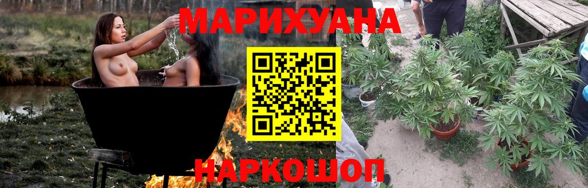 Шишки марихуана конопля Павловский Посад